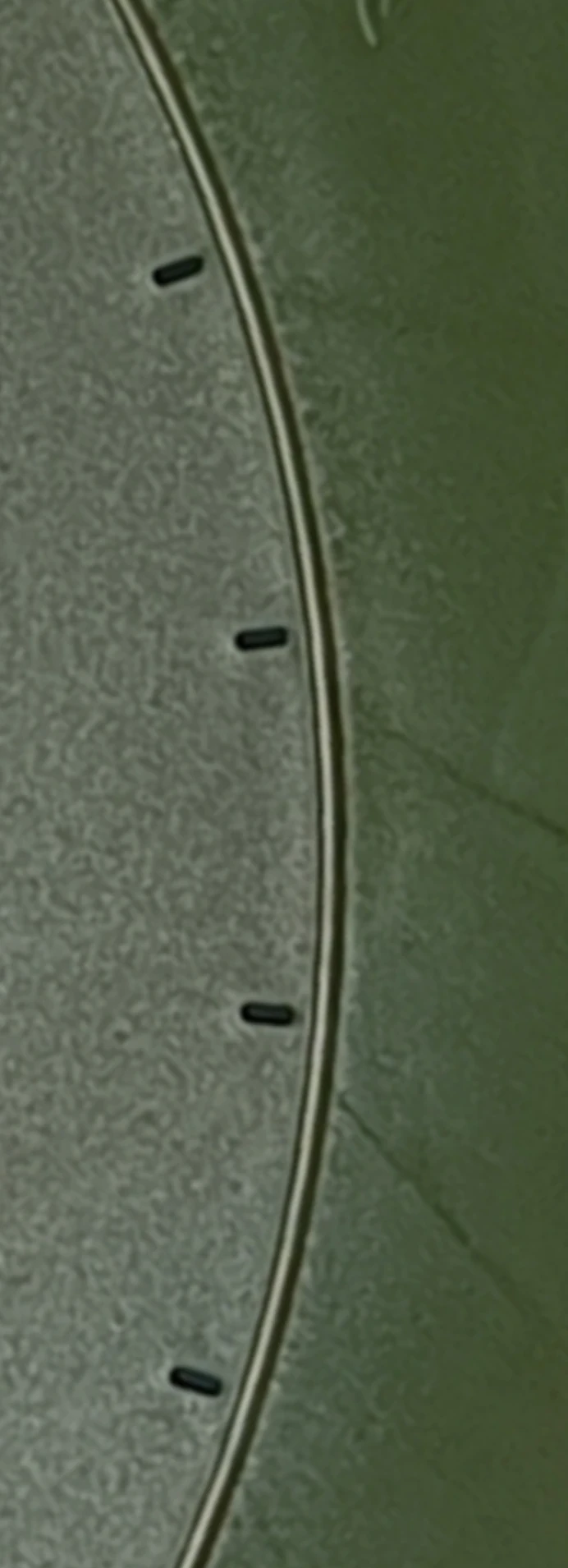 Beredisk perforaciones