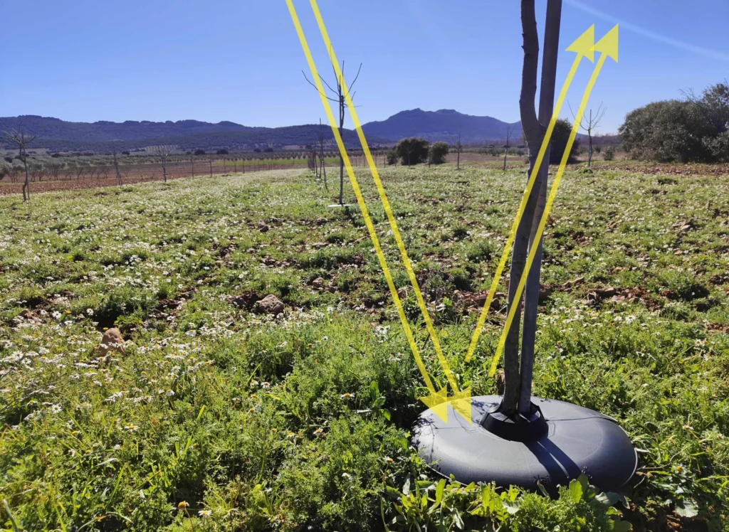 Fotos de como rebotan los Rayos del sol en beredisk